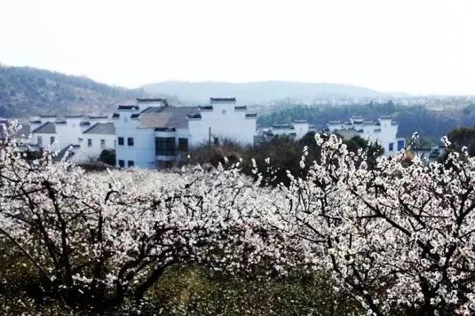 前水晶宫主帅：弗格森时期，如果球员态度不好就会被赶走