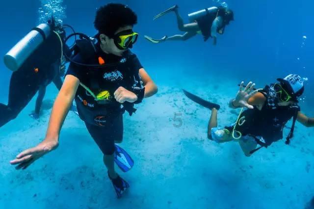 海之号角神秘海怪
